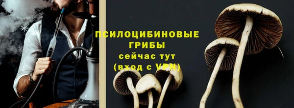 трава Верея