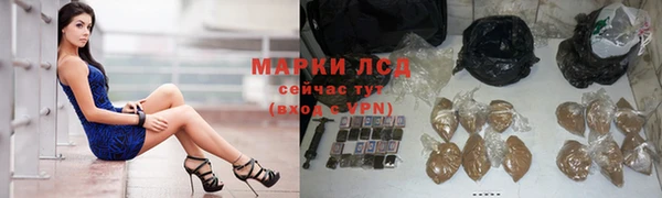 трава Верея