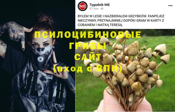прущий лед Верхний Тагил