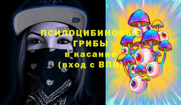 трава Верея