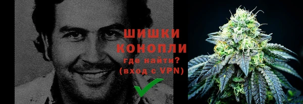 трава Верея
